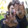 Guerrilla Gardening