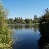 Trout Lake