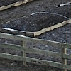 Community Garden